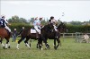 UKPA  NC Sat_1154